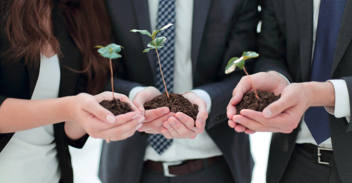 About Sustainability